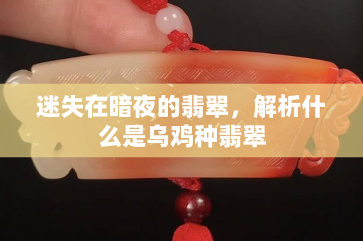 迷失在暗夜的翡翠，解析什么是烏雞種翡翠