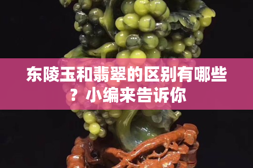 東陵玉和翡翠的區別有哪些？小編來告訴你