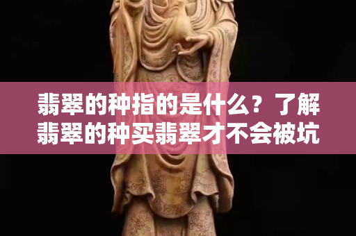 翡翠的種指的是什么？了解翡翠的種買翡翠才不會被坑