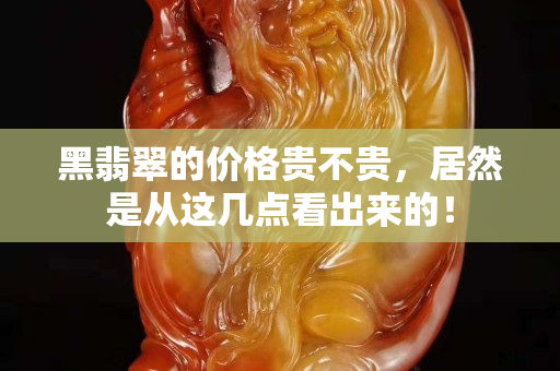 黑翡翠的價格貴不貴，居然是從這幾點看出來的！