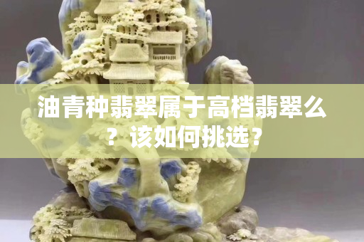油青種翡翠屬于高檔翡翠么？該如何挑選？