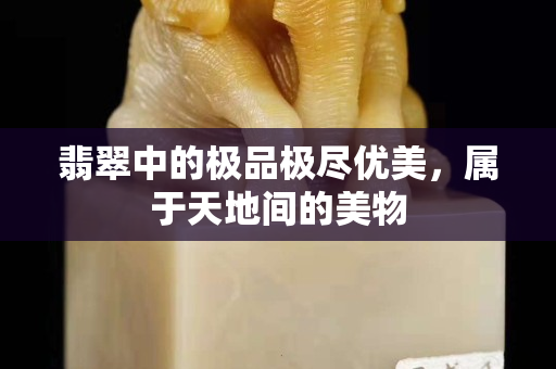 翡翠中的極品極盡優美，屬于天地間的美物