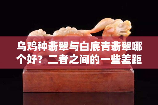 烏雞種翡翠與白底青翡翠哪個好？二者之間的一些差距