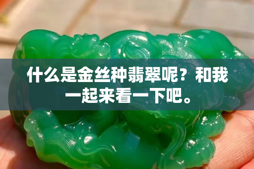 什么是金絲種翡翠呢？和我一起來看一下吧。