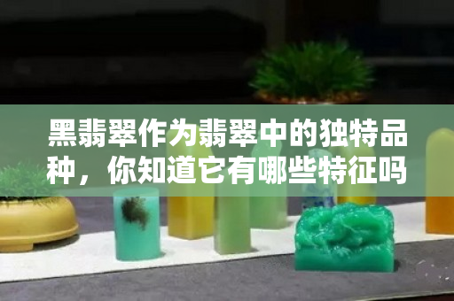 黑翡翠作為翡翠中的獨特品種，你知道它有哪些特征嗎？