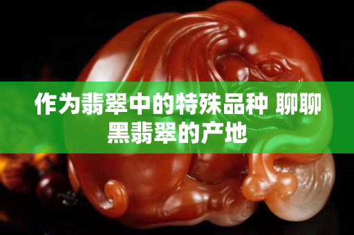 作為翡翠中的特殊品種 聊聊黑翡翠的產(chǎn)地