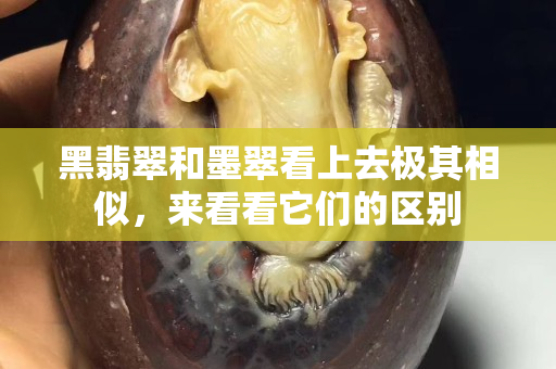 黑翡翠和墨翠看上去極其相似，來看看它們的區別