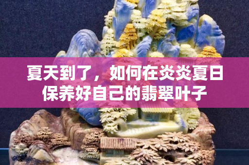 夏天到了，如何在炎炎夏日保養好自己的翡翠葉子