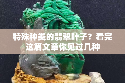 特殊種類的翡翠葉子？看完這篇文章你見過幾種