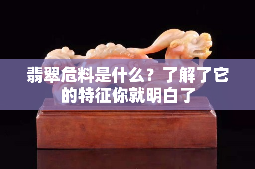 翡翠危料是什么？了解了它的特征你就明白了
