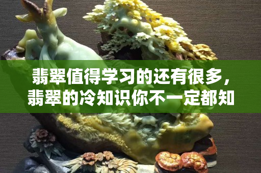 翡翠值得學習的還有很多，翡翠的冷知識你不一定都知道