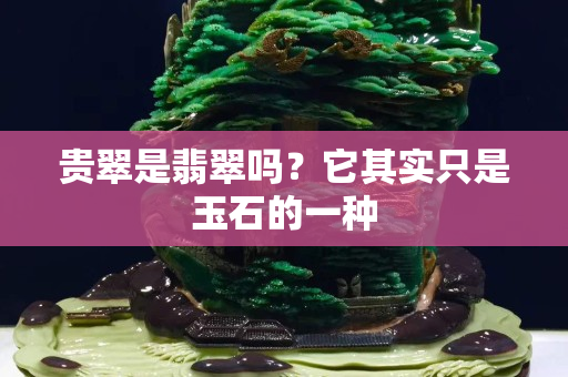 貴翠是翡翠嗎？它其實只是玉石的一種