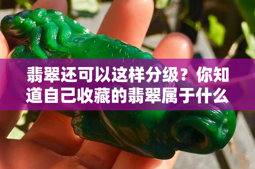 翡翠還可以這樣分級(jí)？你知道自己收藏的翡翠屬于什么等級(jí)嗎？