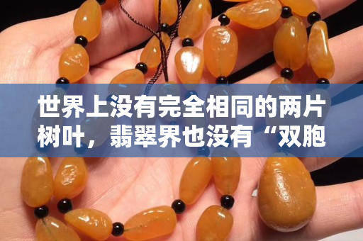 世界上沒有完全相同的兩片樹葉，翡翠界也沒有“雙胞胎”翡翠