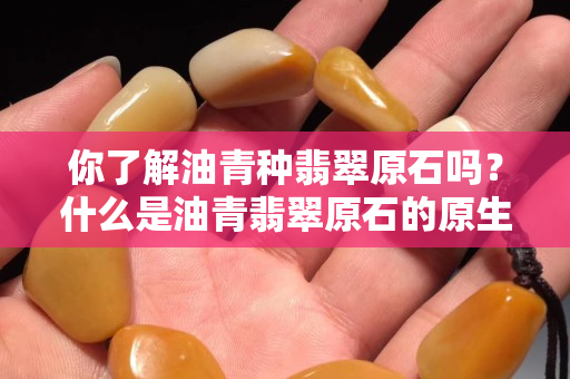 你了解油青種翡翠原石嗎？什么是油青翡翠原石的原生色和次生色？