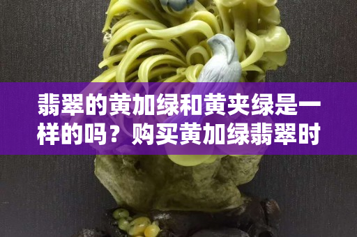 翡翠的黃加綠和黃夾綠是一樣的嗎？購買黃加綠翡翠時需要注意什么？