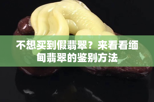 不想買到假翡翠？來看看緬甸翡翠的鑒別方法