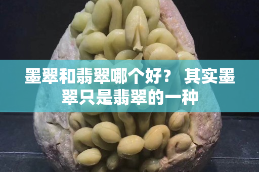 墨翠和翡翠哪個好？ 其實(shí)墨翠只是翡翠的一種