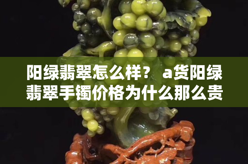 陽綠翡翠怎么樣？ a貨陽綠翡翠手鐲價格為什么那么貴？