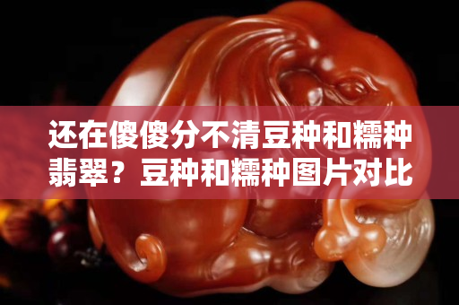還在傻傻分不清豆種和糯種翡翠？豆種和糯種圖片對(duì)比一下就一目了然
