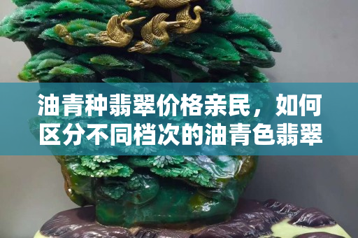 油青種翡翠價格親民，如何區分不同檔次的油青色翡翠手鐲價格？