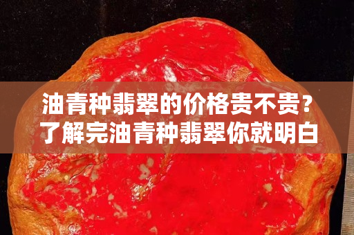 油青種翡翠的價(jià)格貴不貴？了解完油青種翡翠你就明白了