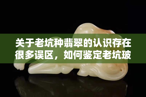 關(guān)于老坑種翡翠的認(rèn)識存在很多誤區(qū)，如何鑒定老坑玻璃種翡翠？