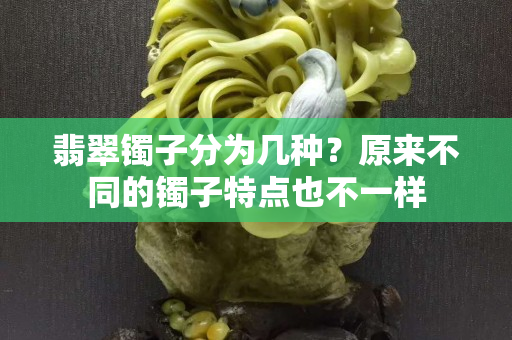 翡翠鐲子分為幾種？原來不同的鐲子特點也不一樣