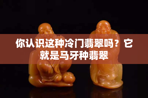 你認識這種冷門翡翠嗎？它就是馬牙種翡翠