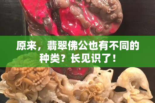 原來，翡翠佛公也有不同的種類？長見識了！