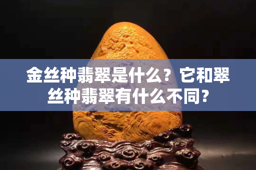 金絲種翡翠是什么？它和翠絲種翡翠有什么不同？