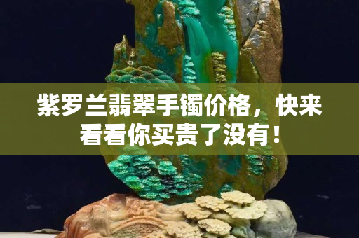 紫羅蘭翡翠手鐲價格，快來看看你買貴了沒有！