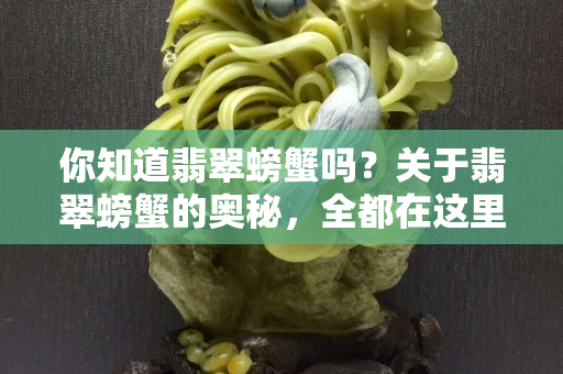 你知道翡翠螃蟹嗎？關(guān)于翡翠螃蟹的奧秘，全都在這里了！