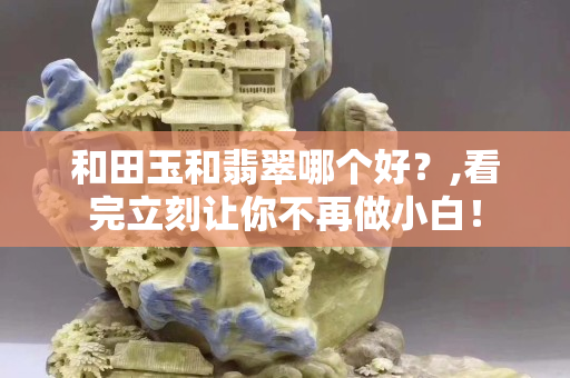 和田玉和翡翠哪個(gè)好？,看完立刻讓你不再做小白！