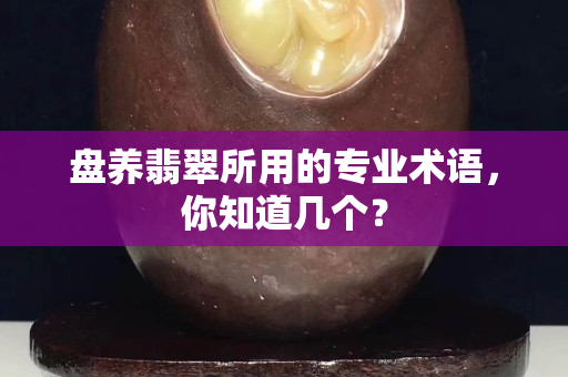 盤養(yǎng)翡翠所用的專業(yè)術(shù)語，你知道幾個(gè)？