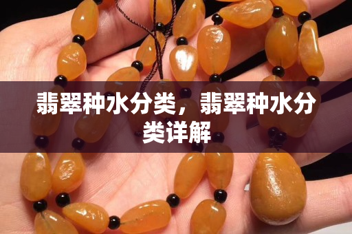 翡翠種水分類，翡翠種水分類詳解