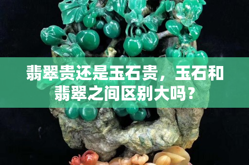 翡翠貴還是玉石貴，玉石和翡翠之間區別大嗎？