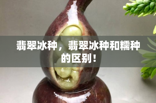 翡翠冰種，翡翠冰種和糯種的區(qū)別！