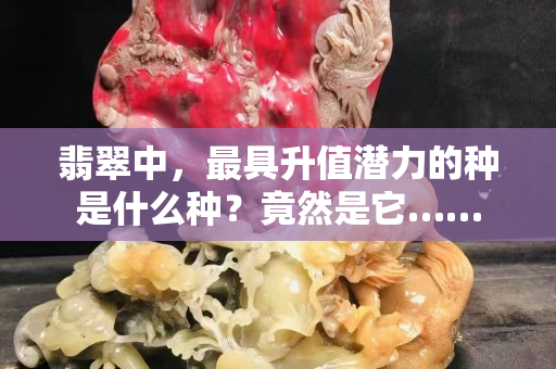 翡翠中，最具升值潛力的種是什么種？竟然是它……