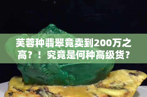 芙蓉種翡翠竟賣到200萬之高？！究竟是何種高級(jí)貨？