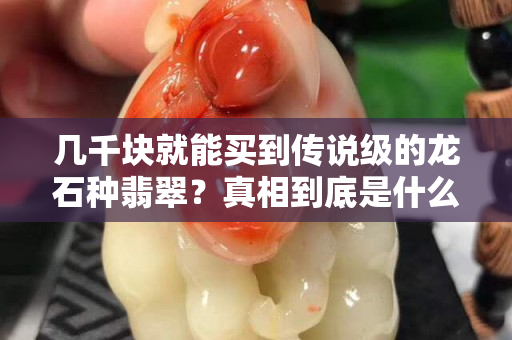 幾千塊就能買到傳說級的龍石種翡翠？真相到底是什么……