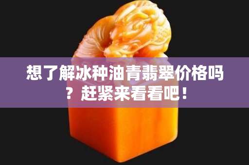 想了解冰種油青翡翠價格嗎？趕緊來看看吧！