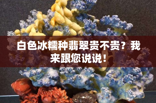 白色冰糯種翡翠貴不貴？我來跟您說說！