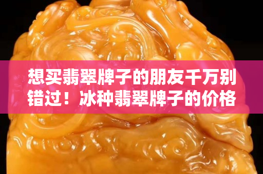 想買翡翠牌子的朋友千萬別錯過！冰種翡翠牌子的價格我來告訴你！
