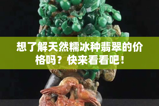 想了解天然糯冰種翡翠的價格嗎？快來看看吧！