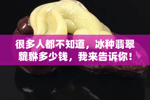很多人都不知道，冰種翡翠貔貅多少錢，我來告訴你！