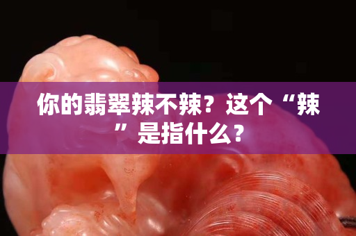 你的翡翠辣不辣？這個“辣”是指什么？