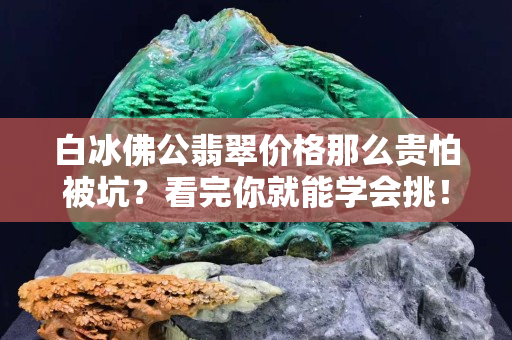 白冰佛公翡翠價格那么貴怕被坑？看完你就能學(xué)會挑！