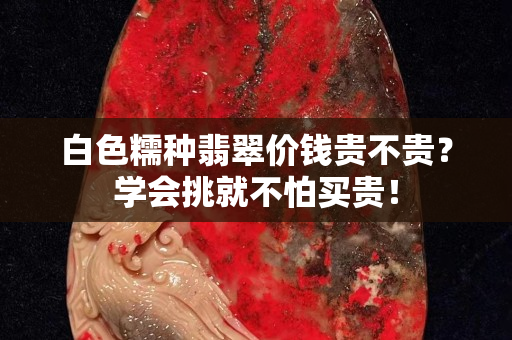 白色糯種翡翠價(jià)錢(qián)貴不貴？學(xué)會(huì)挑就不怕買(mǎi)貴！