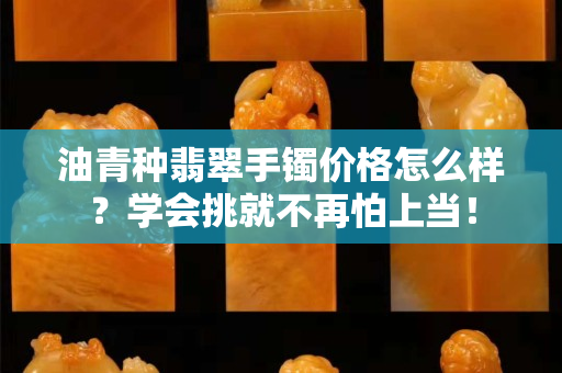 油青種翡翠手鐲價格怎么樣？學會挑就不再怕上當！
